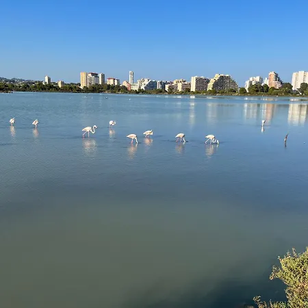 Rock&bike Sunny Apartament *